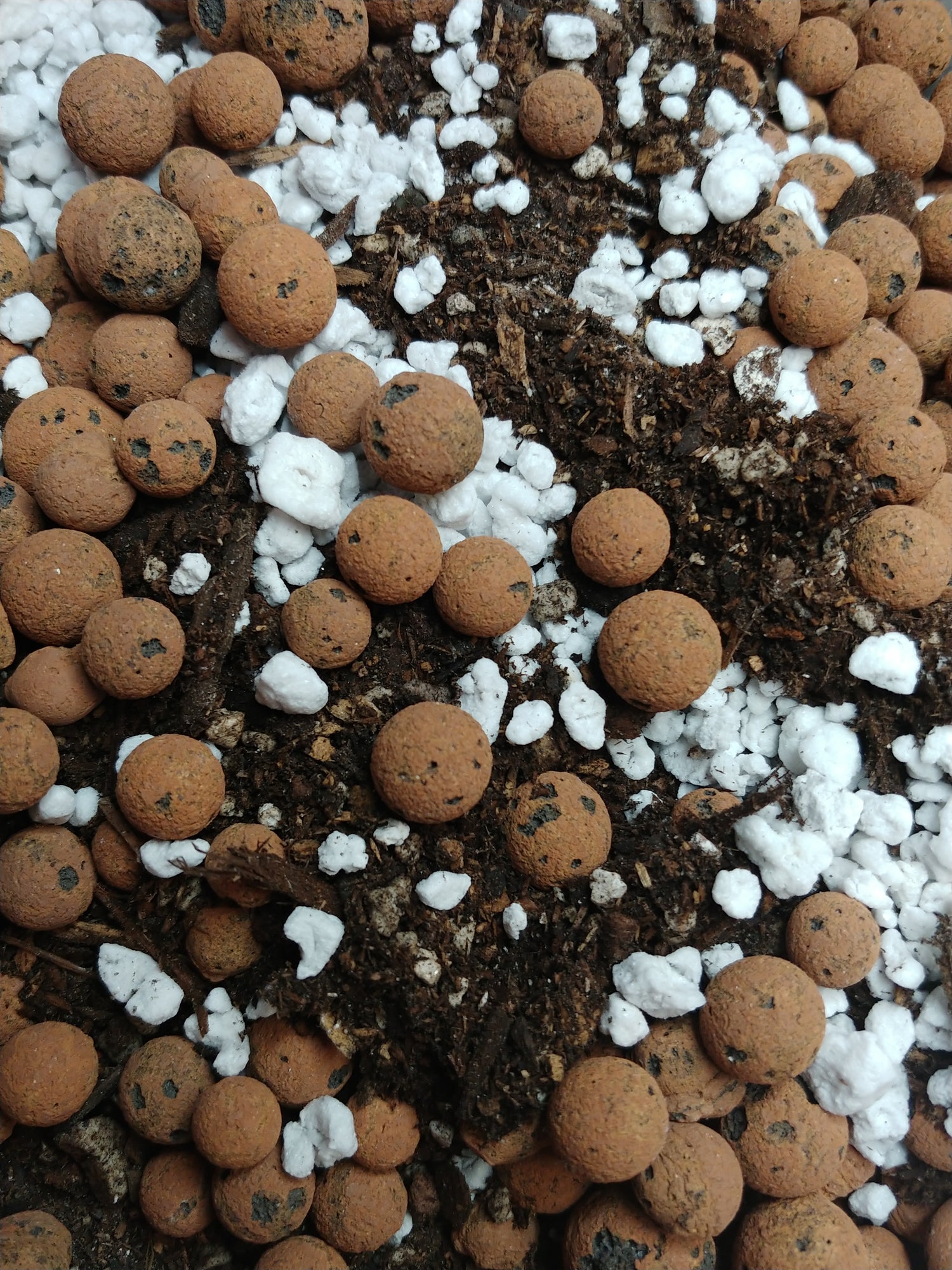 mixture of leca, soil, perlite,