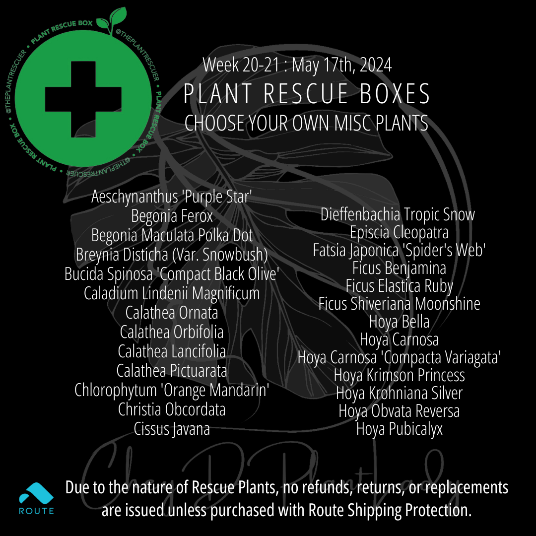 The  Plant Rescue Box - Choose Your Own MISC Plants - USA