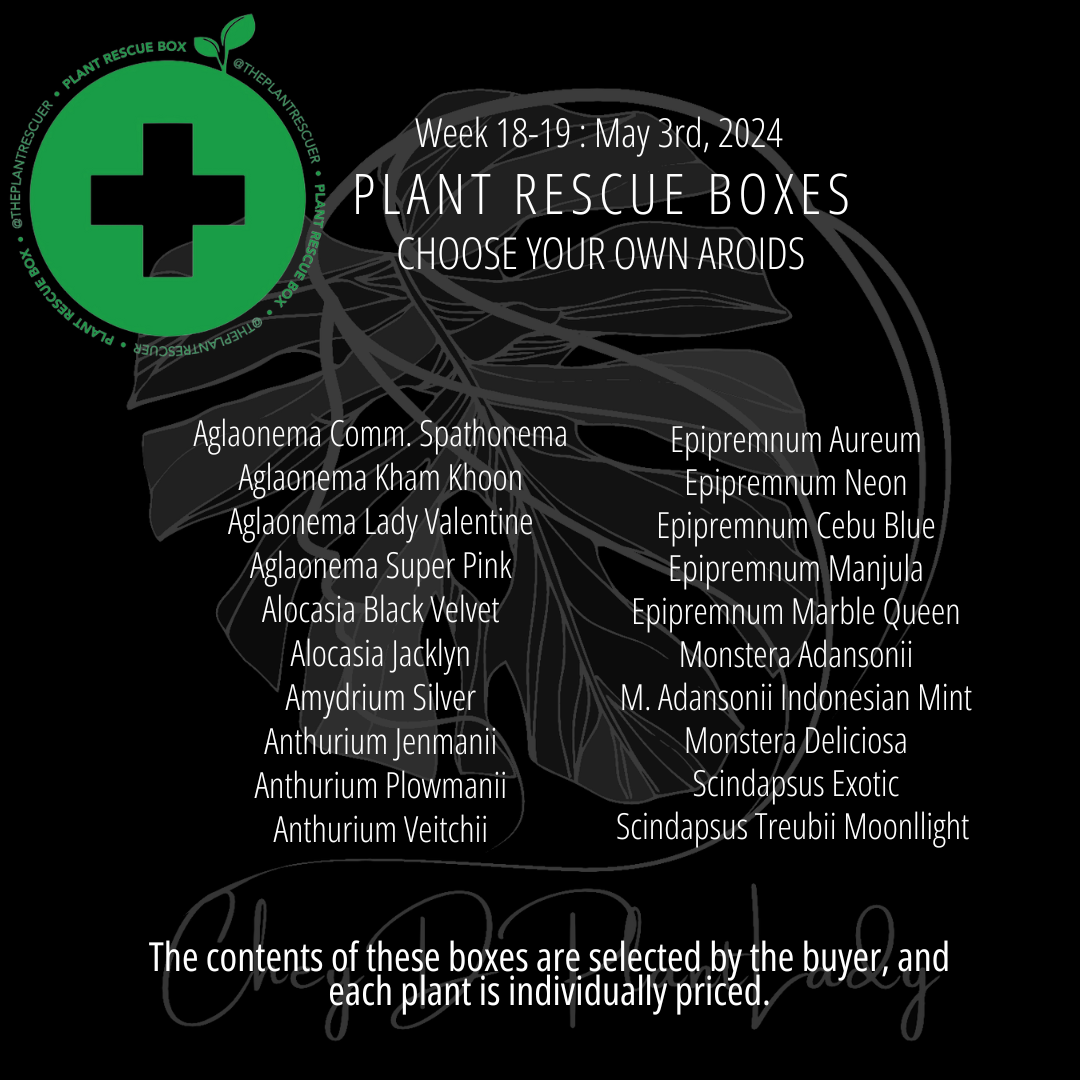 Aroids CYO -  Plant Rescue Box - USA