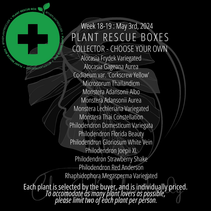 Collector's Edition  - Plant Rescue Box - USA Choose Your Own