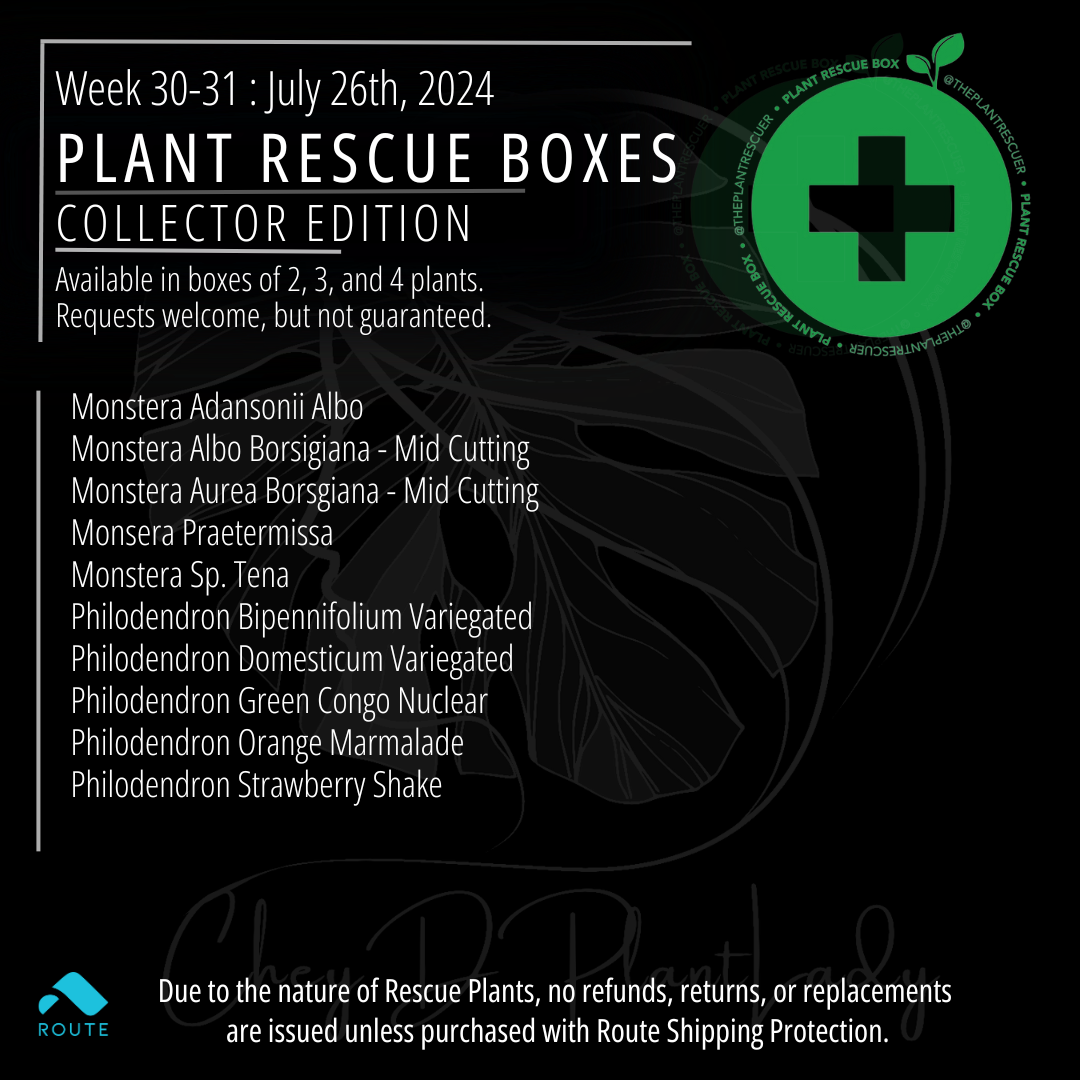 Plant Rescue Boxes – CheyDPlantLady