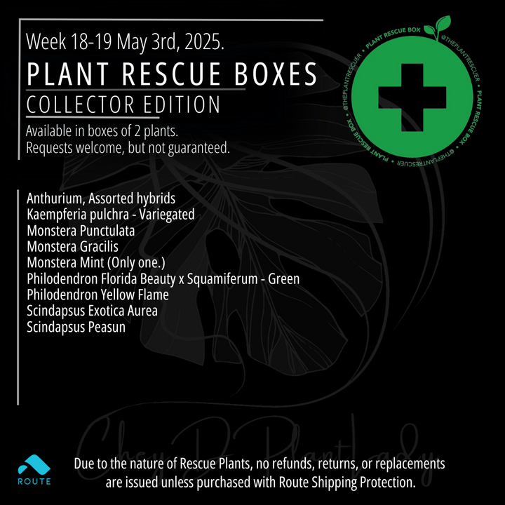 Collector's Edition  - Plant Rescue Box