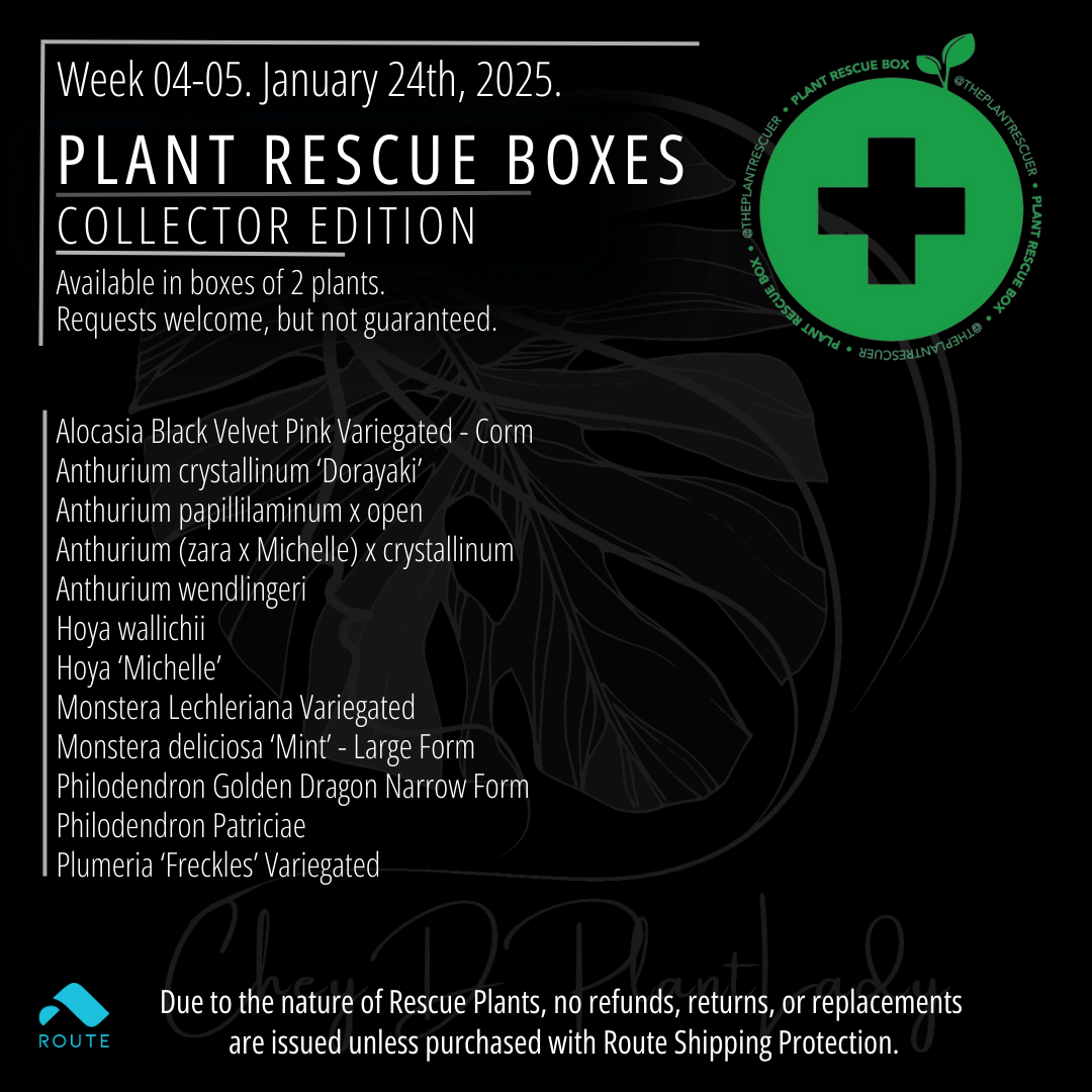 Collector's Edition  - Plant Rescue Box