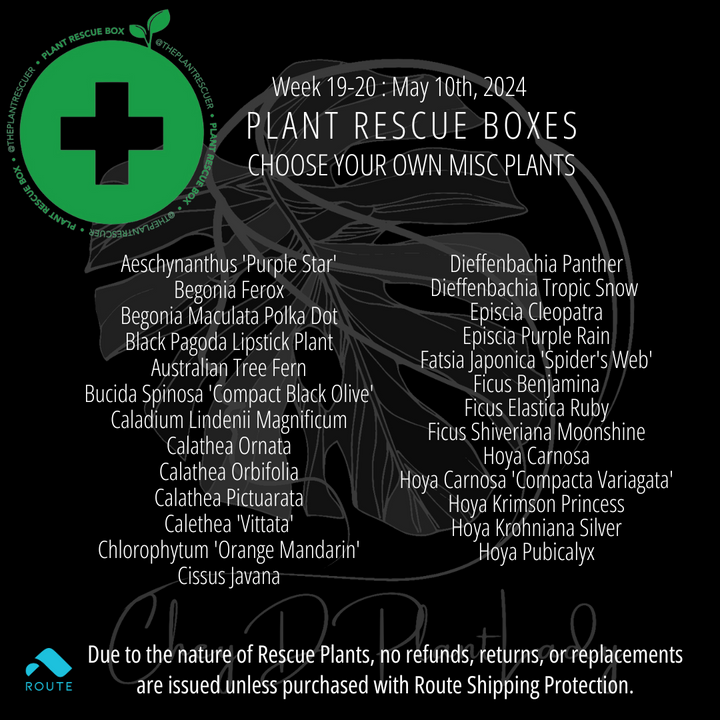 The  Plant Rescue Box - Choose Your Own MISC Plants - USA