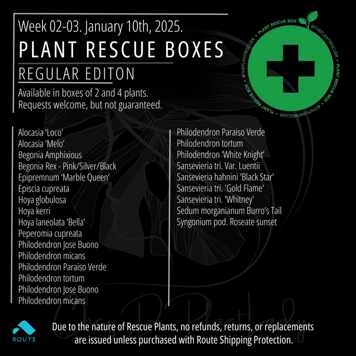 The Plant Rescue Box - USA