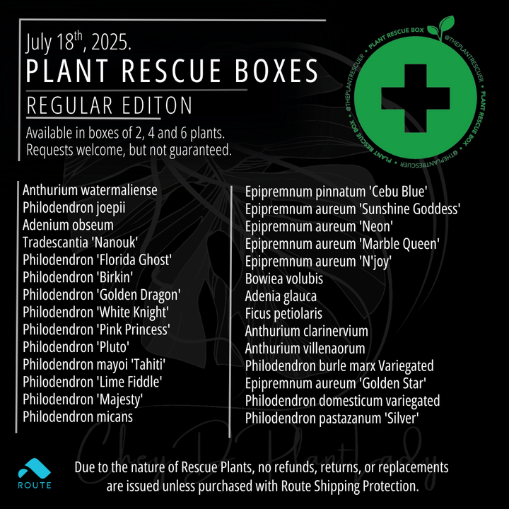 The Plant Rescue Box - USA