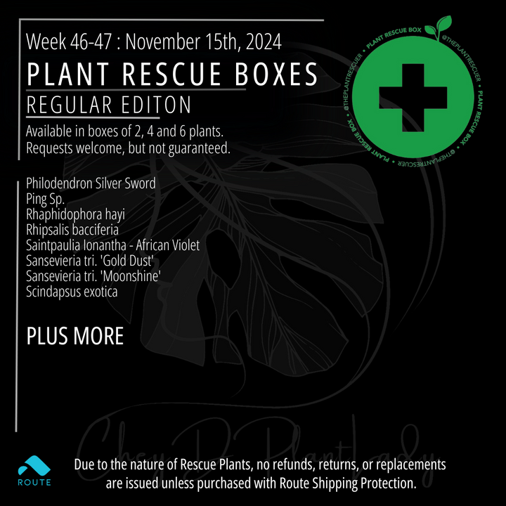 The Plant Rescue Box - USA