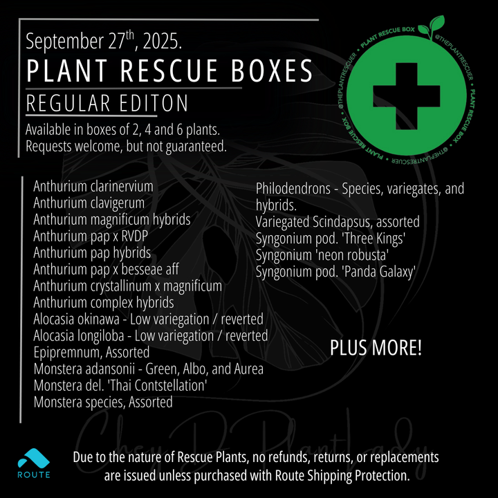 The Plant Rescue Box - USA